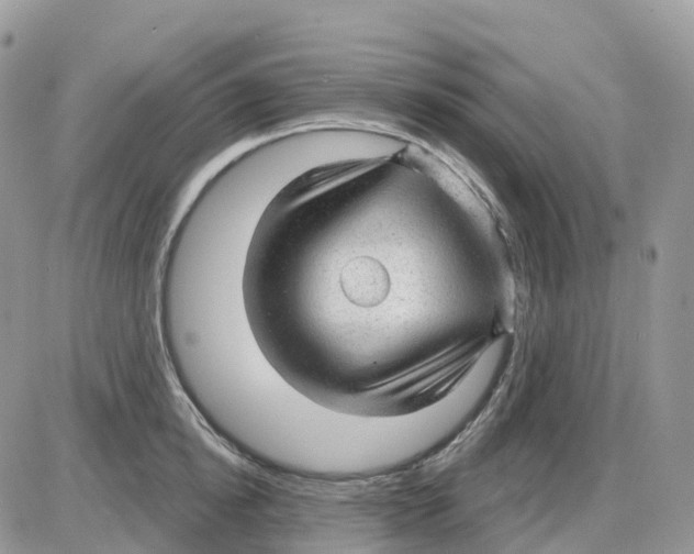 X0000086050854200704202034