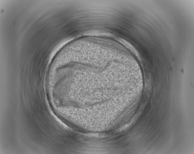 X0000086050855200704202034