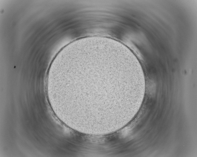 X0000086050856200704202034