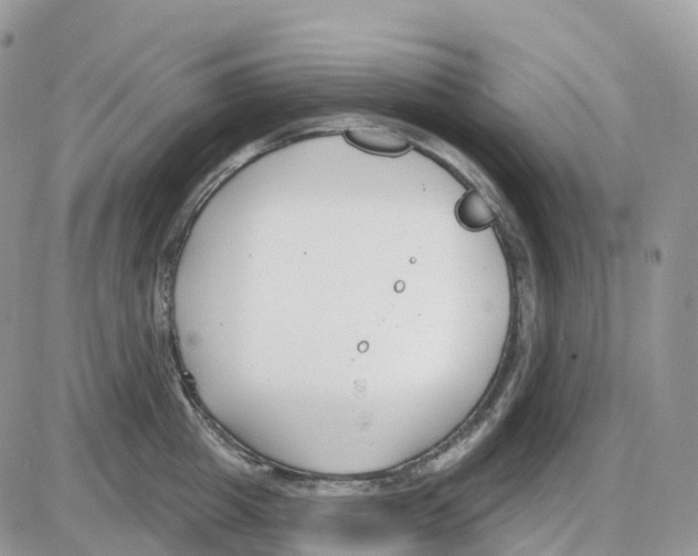 X0000086050857200704202034