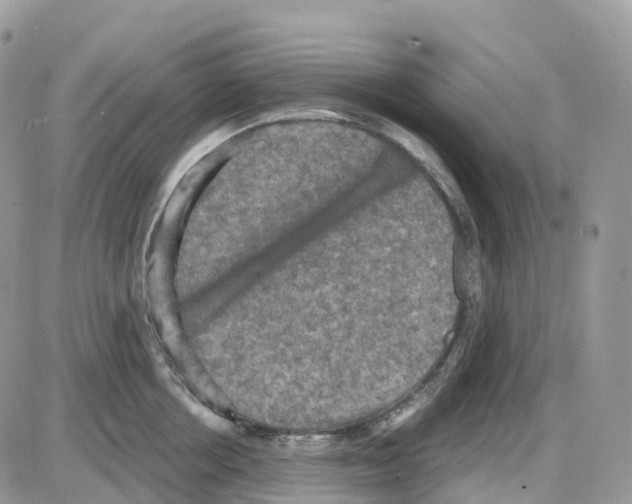 X0000086050858200704202034