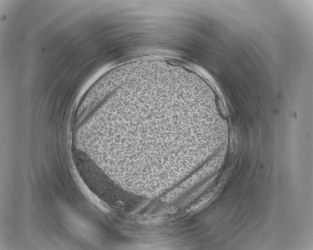 X0000086050859200704202034