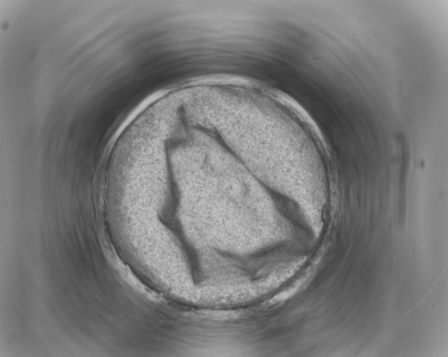 X0000086050860200704202034