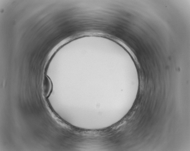 X0000086050861200704202034