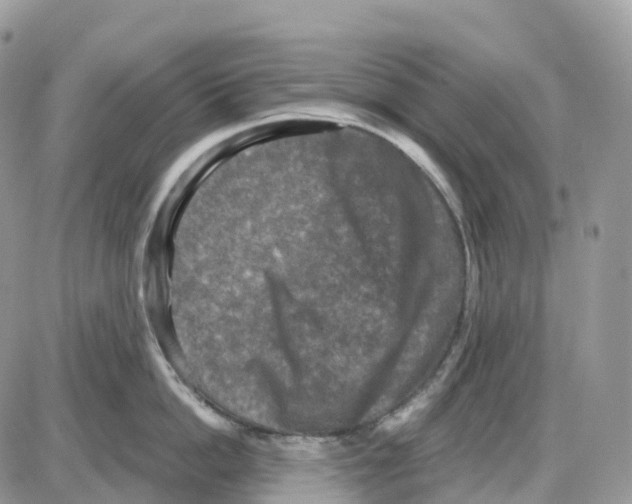 X0000086050862200704202034