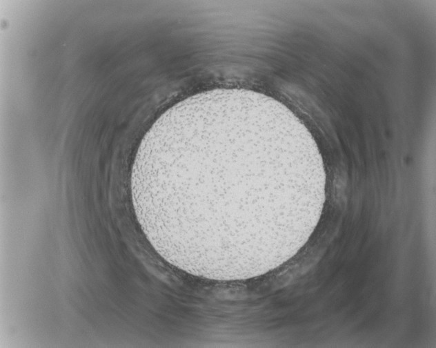 X0000086050865200704202033