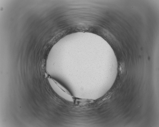 X0000086050867200704202033