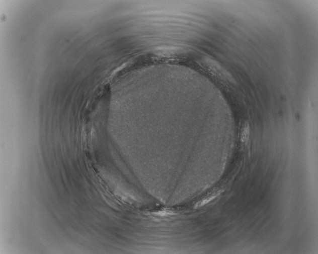 X0000086050868200704202033