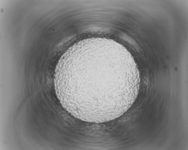 X0000086050869200704202033