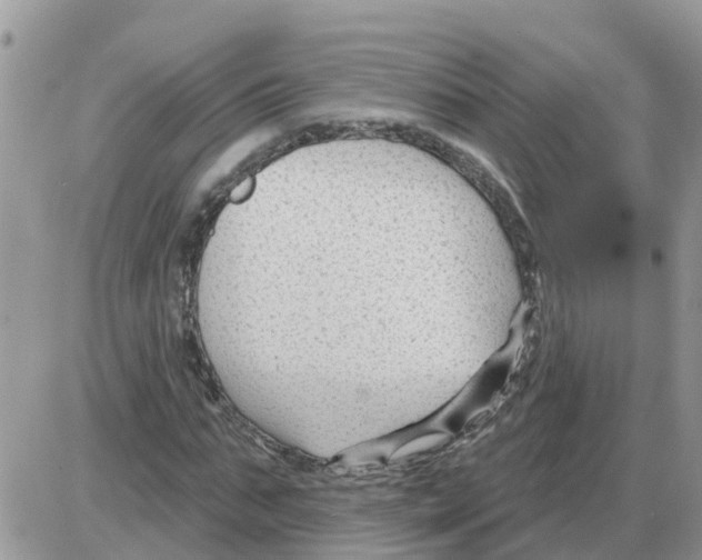 X0000086050871200704202033