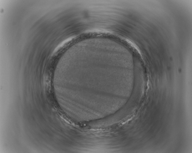 X0000086050872200704202033