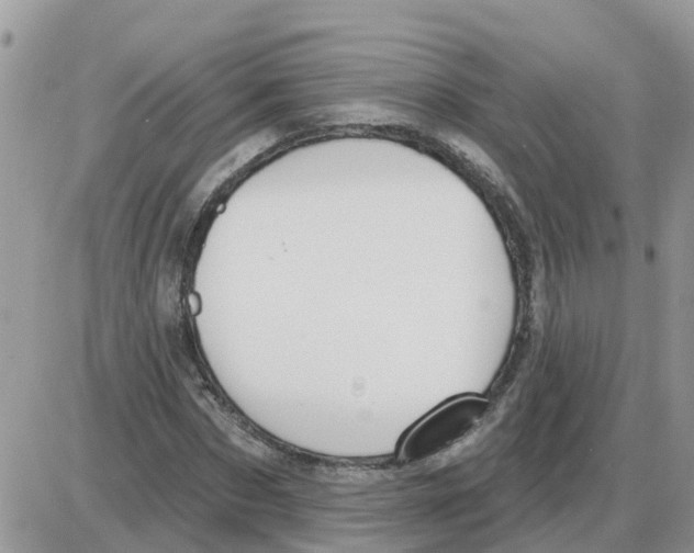 X0000086050873200704202033