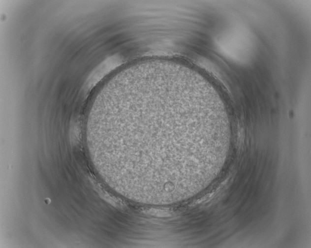 X0000086050874200704202033