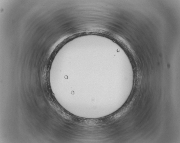 X0000086050875200704202033