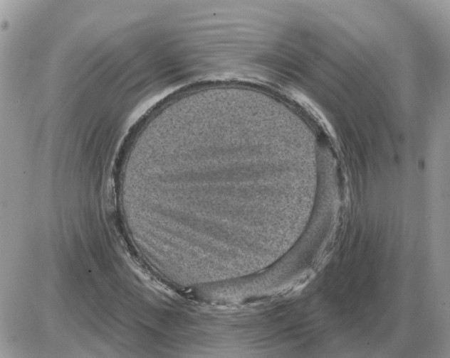 X0000086050876200704202033