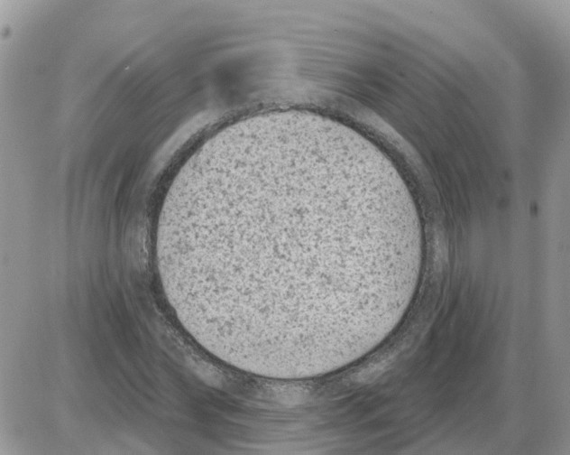 X0000086050878200704202033