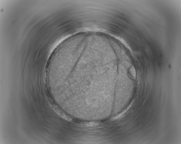 X0000086050879200704202033