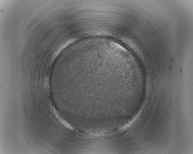 X0000086050881200704202033