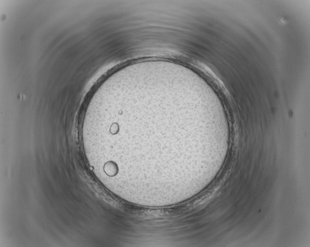 X0000086050883200704202033