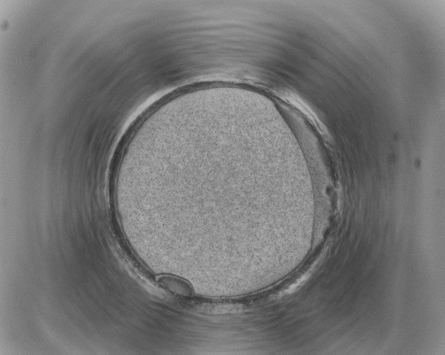 X0000086050884200704202033