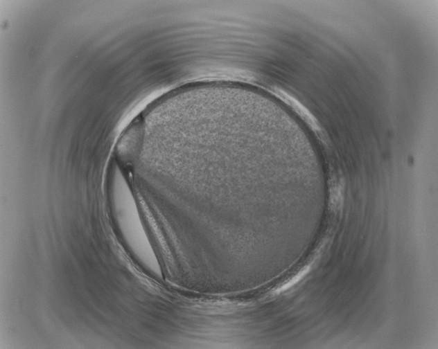 X0000086050885200704202033