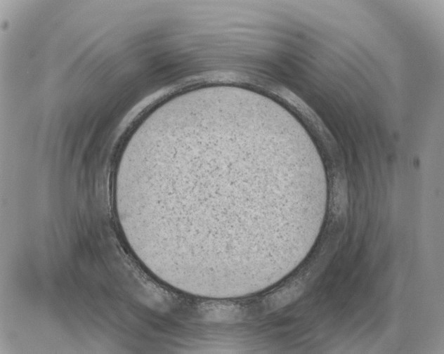 X0000086050886200704202033