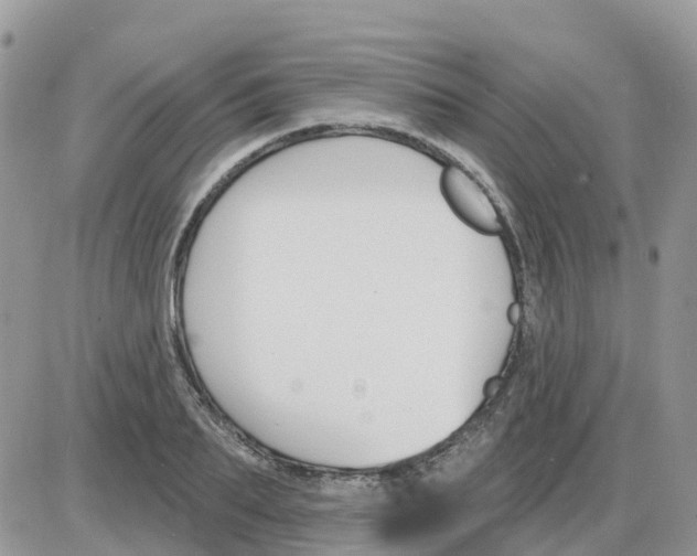 X0000086050887200704202033