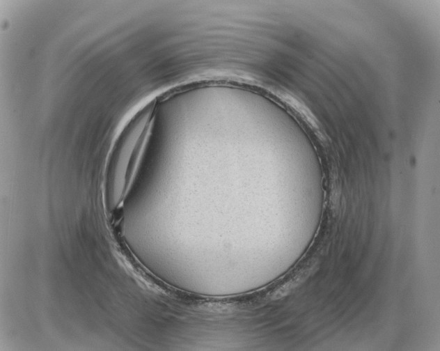 X0000086050888200704202033