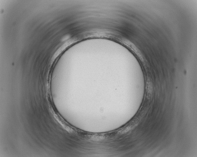 X0000086050890200704202033