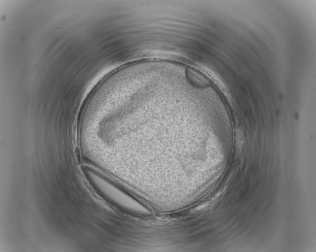 X0000086050891200704202033