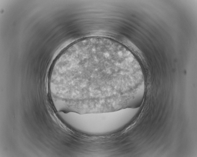 X0000086050892200704202033