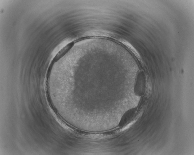 X0000086050893200704202033