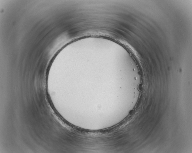 X0000086050894200704202033