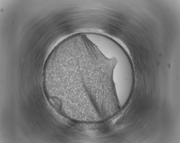 X0000086050895200704202033