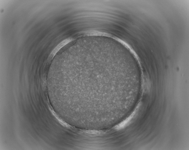 X0000086050897200704202033