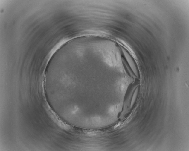 X0000086050899200704202033