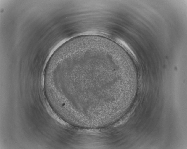 X0000086050900200704202033