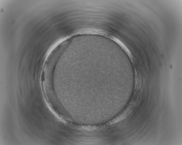 X0000086050901200704202033