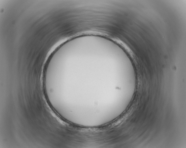 X0000086050902200704202033