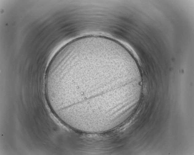 X0000086050903200704202033