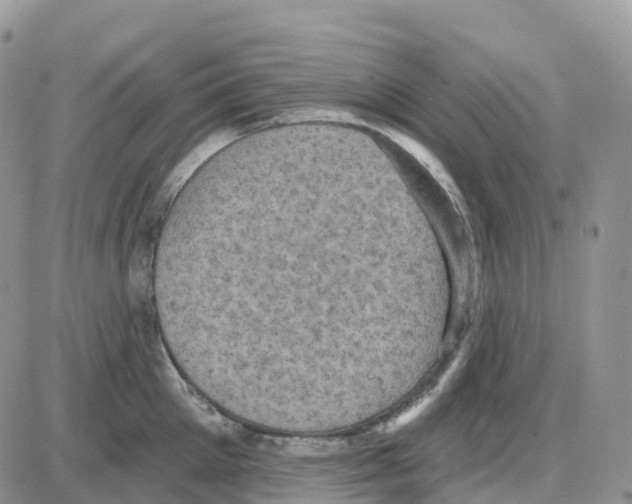 X0000086050905200704202033