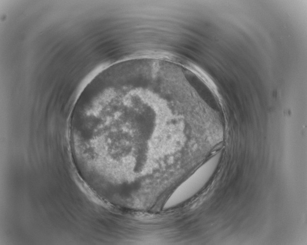 X0000086050907200704202033