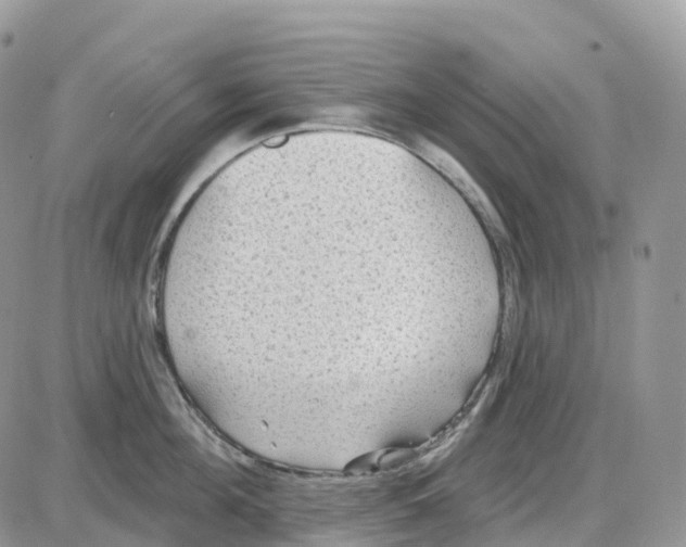 X0000086050908200704202033