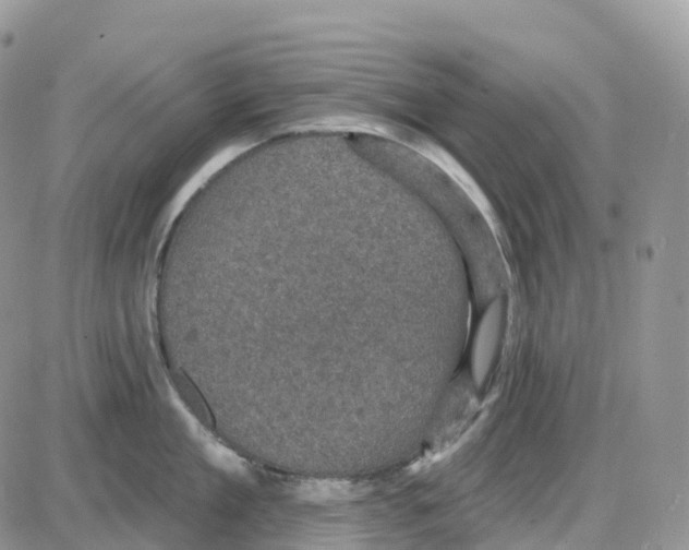 X0000086050909200704202033