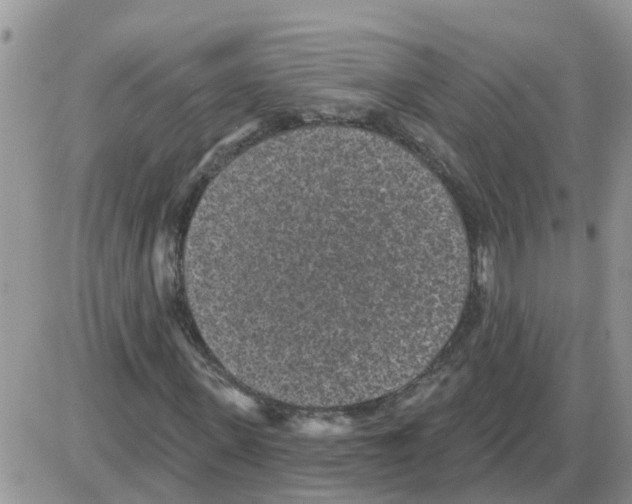 X0000086050915200704202032