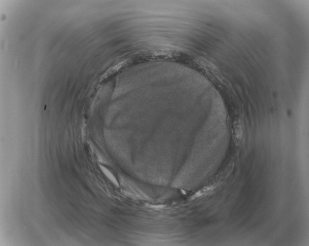 X0000086050916200704202032