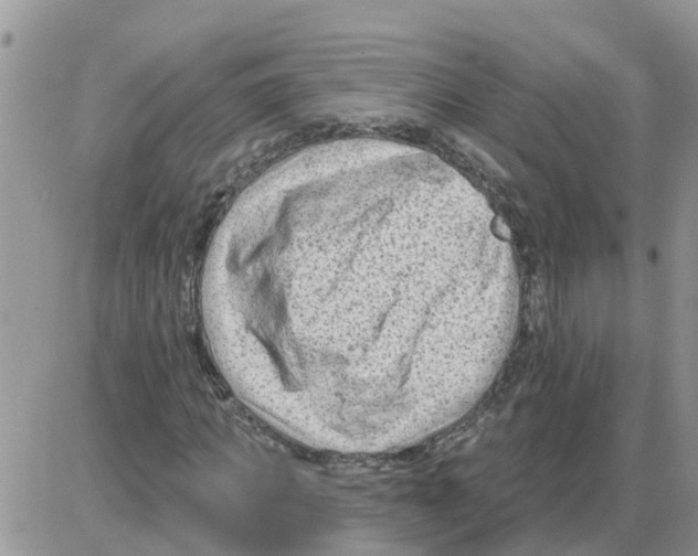 X0000086050917200704202032