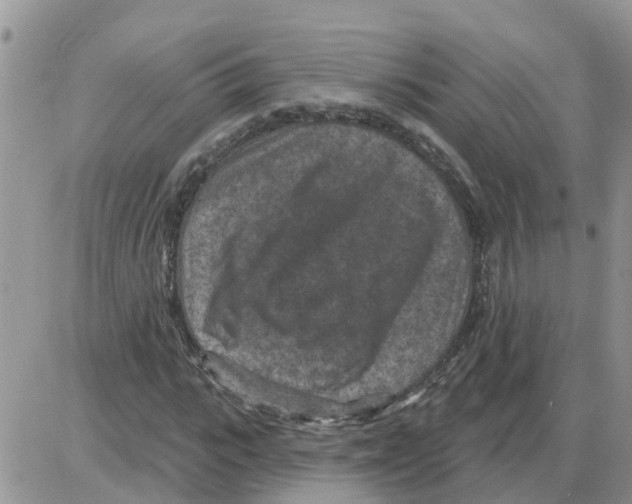 X0000086050919200704202032