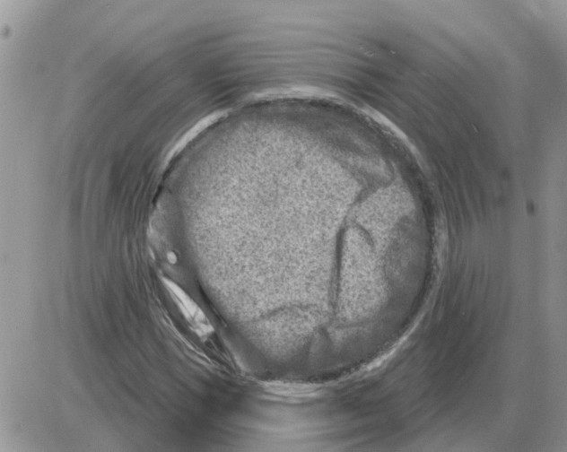 X0000086050921200704202032