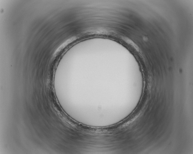 X0000086050922200704202032